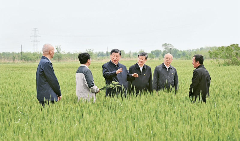 2023年5月11日至12日，中共中央總書(shū)記、國(guó)家主席、中央軍委主席習(xí)近平在河北考察，并主持召開(kāi)深入推進(jìn)京津冀協(xié)同發(fā)展座談會(huì)。這是11日上午，習(xí)近平在滄州市黃驊市舊城鎮(zhèn)仙莊片區(qū)旱堿地麥田考察時(shí)，同種植戶(hù)、農(nóng)技專(zhuān)家親切交流。 新華社記者 李學(xué)仁/攝